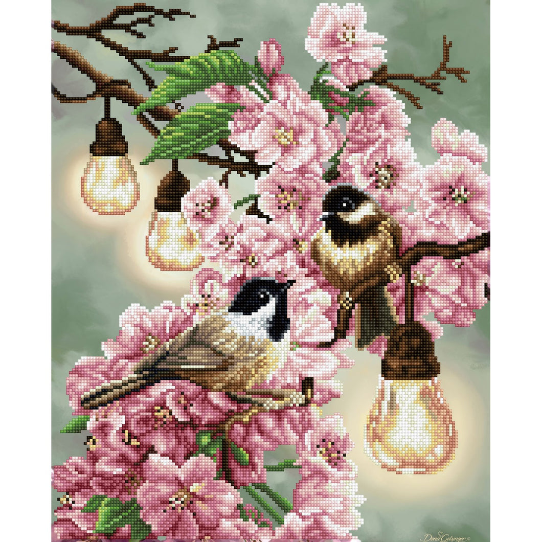 Cherry Blossoms & Chickadees