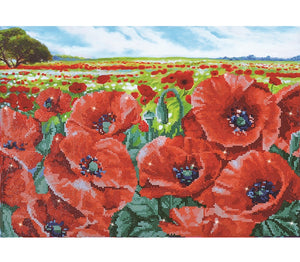 Red Poppy Field