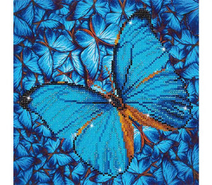 Flutterby Blue Butterfly