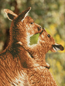 Kissing Kangas