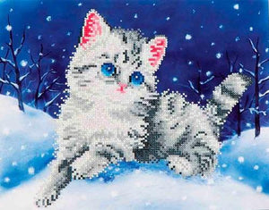 Kitty in the Snow