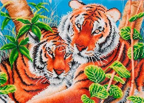 Tender Tiger