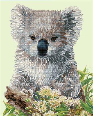 KOALA AND EUCALYPTUS BLOSSOM