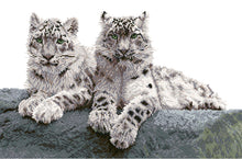 Load image into Gallery viewer, SNOW LEOPARDS
