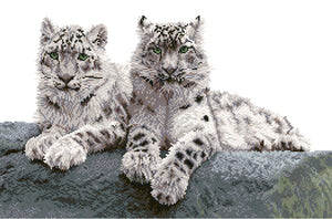 SNOW LEOPARDS