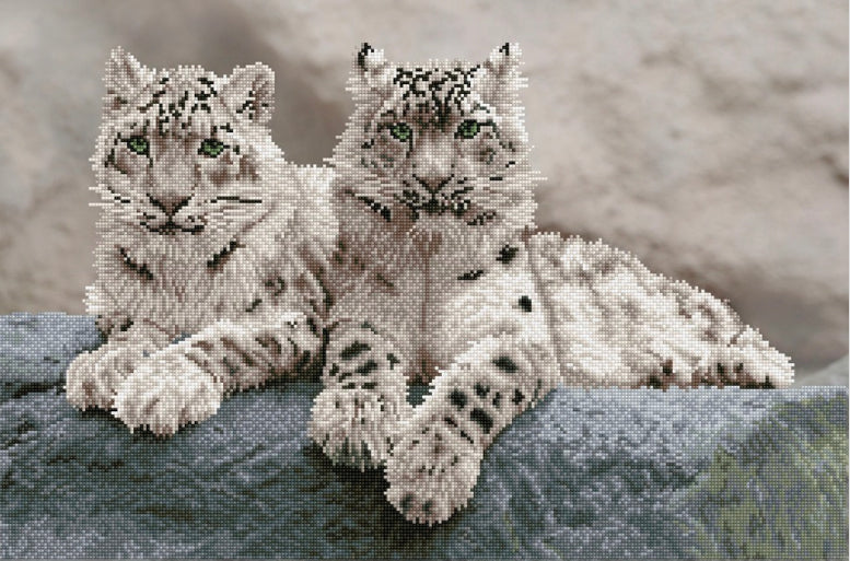 SNOW LEOPARDS